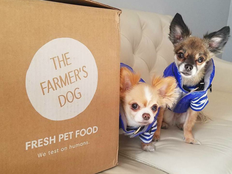 Farmer's Dog