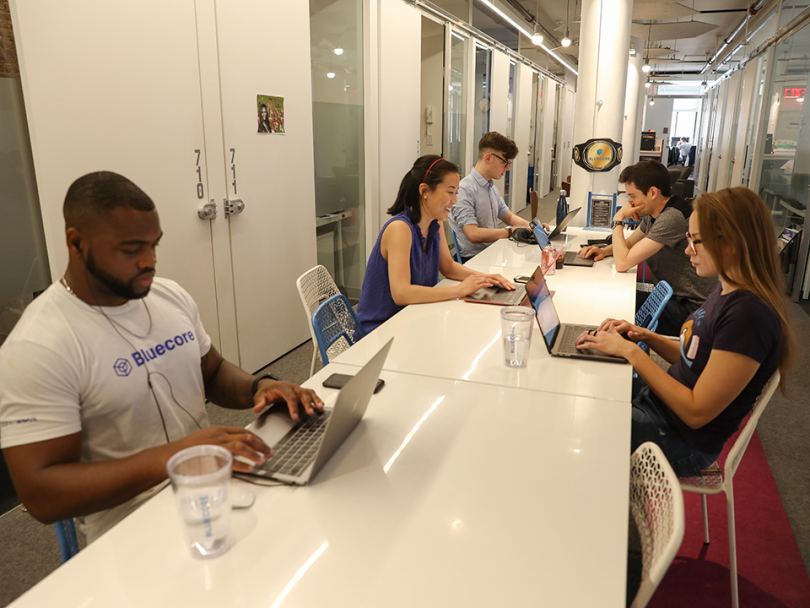 bluecore team members