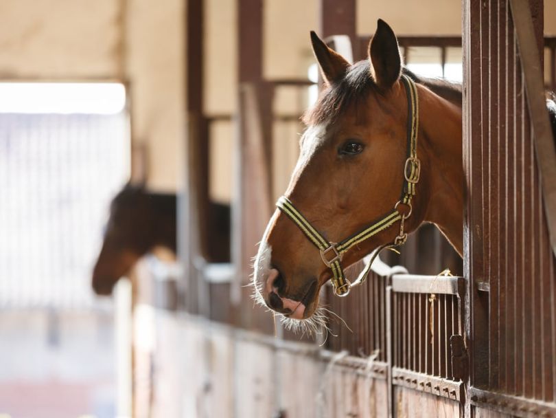 MyBarnHelp
