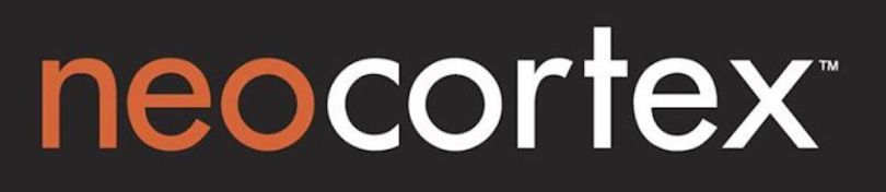 Neocortex Fremont consulting companies
