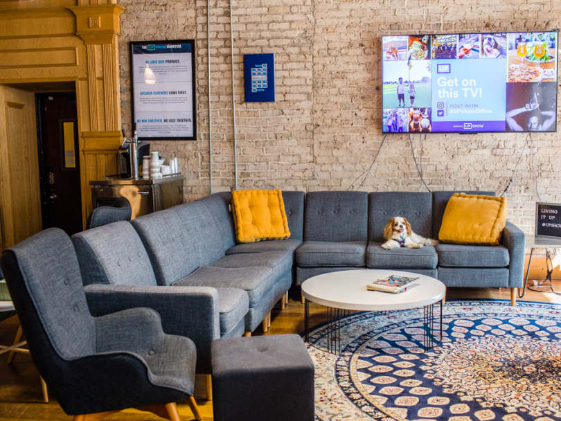 a King Charles spaniel sits on a modern sectional sofa with a draft cold brew cart