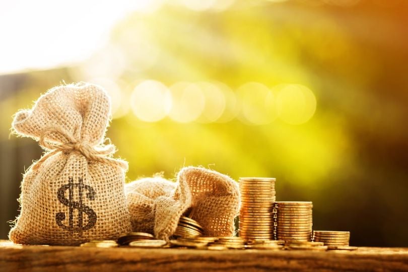 money bag and coins
