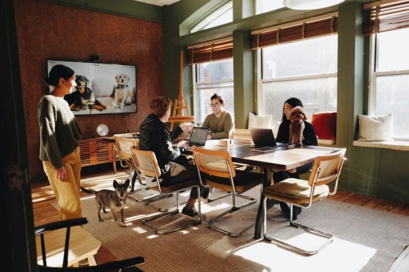 The Farmer's Dog company office