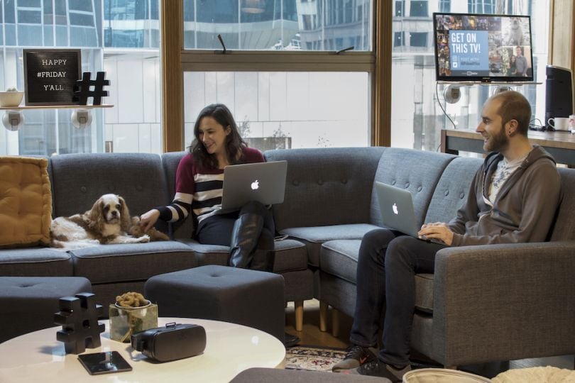UPshow staff sitting on the couch with Colbie the Dog