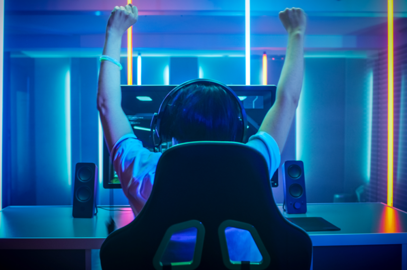 Video Game Player