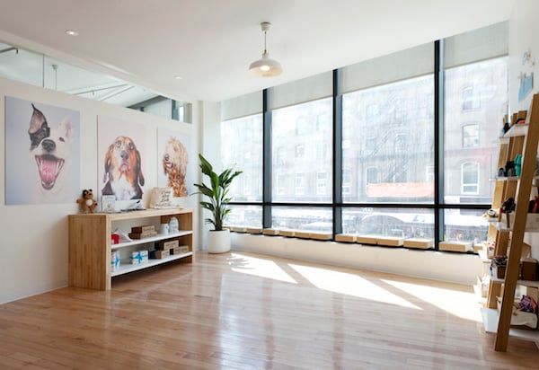 Barkbox office