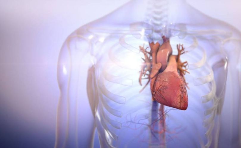 biolife4d 3d printing applications examples
