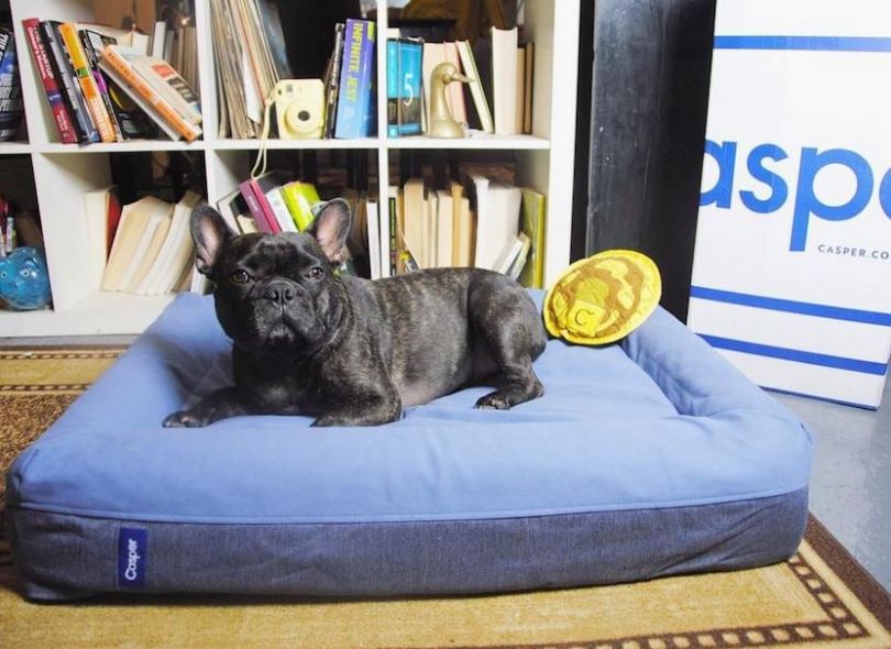 Casper-TV