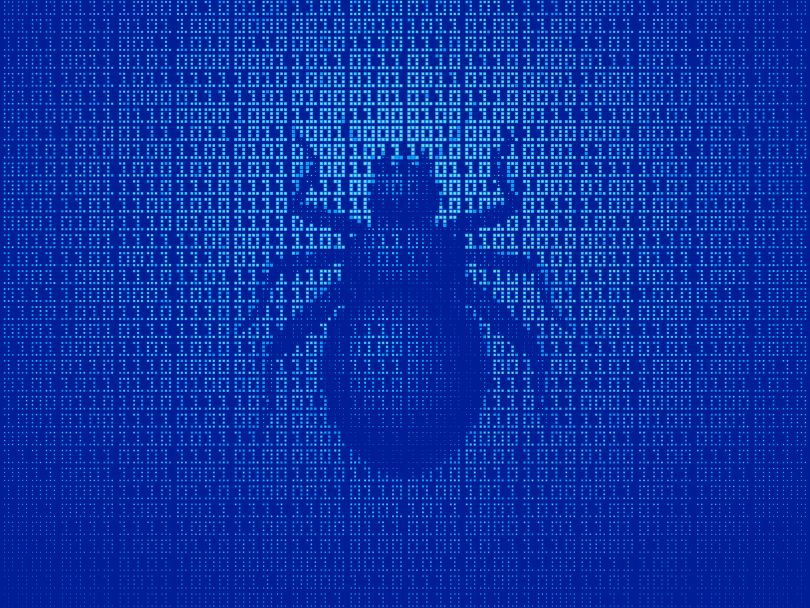 An image depicting a bug in code is pictured.