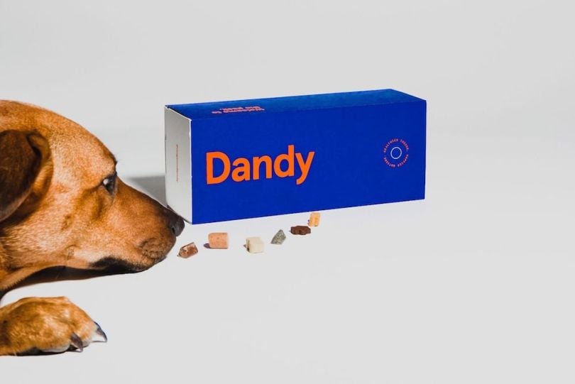 Dandy supplements