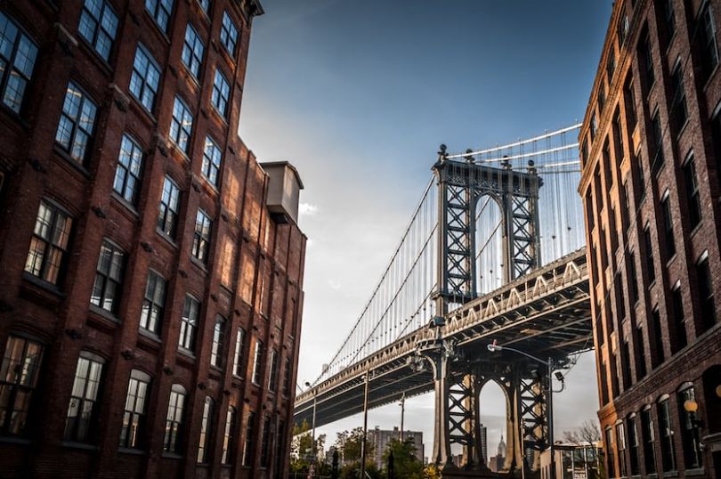 dumbo