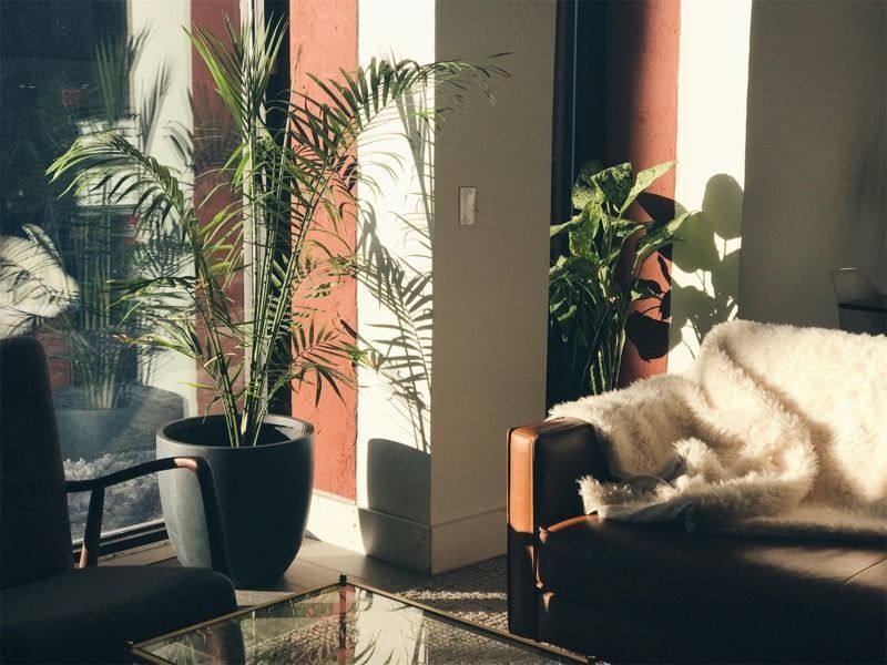 feather nyc startups
