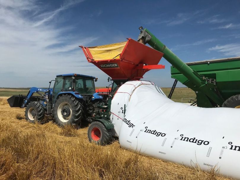 Indigo Ag