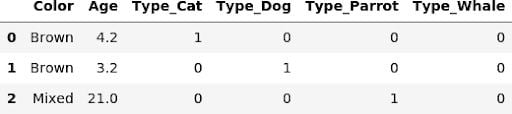 Animal data column transfer