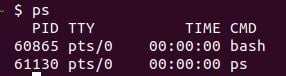 Linux terminal ps command result. 