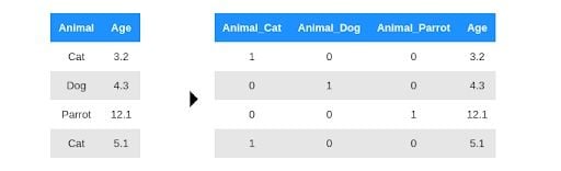 Animal data chart one hot encoding.