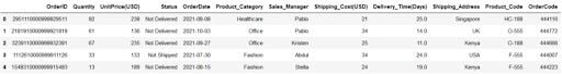 Dummy sales data