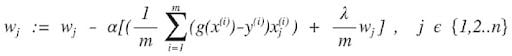 Equation continued with regularization