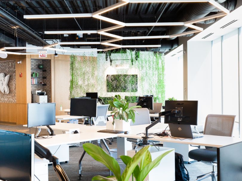 The Pricefx office featuring open desk seating along with a wall of plants and lots of natural light.