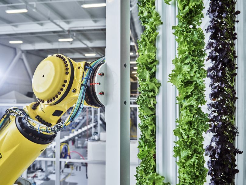 A Plenty Farms tower robot.
