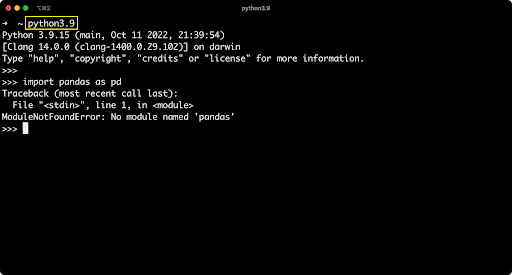 ModuleNotFoundError: No module named ‘pandas’ error. | Screenshot: Dario Radečić
