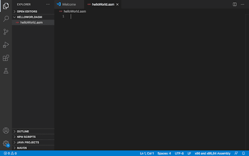 Empty helloWorld.asm file.