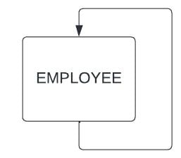 Employee entity illustration