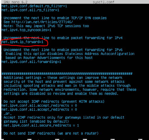 Enabling IP forwarding.