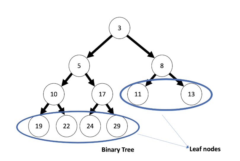 The same binary min heap, but with two circles identifying the leaf nodes, the nodes that don’t point to any children.