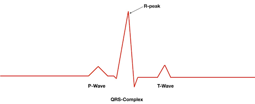 wavelet-transform