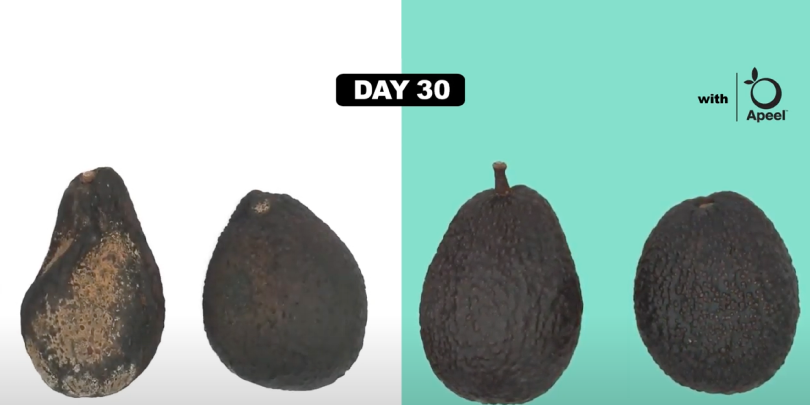 A screenshot of Apeel Sciences' website showing how their product prolongs the freshness of produce past its normal expiration date. In this case, and avocado staying fresh up to 30 days.