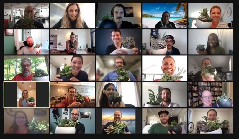 A screenshot of a Zoom meeting where people hold up small pots with succulents