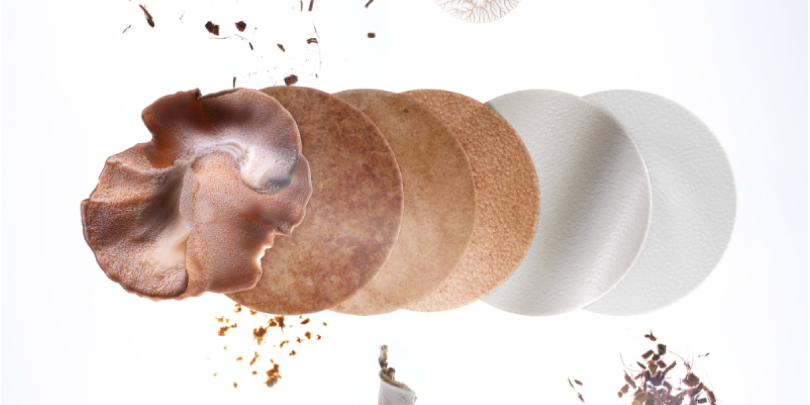 A screenshot of Bolt Threads website showing their synthetic leather made from mushrooms.
