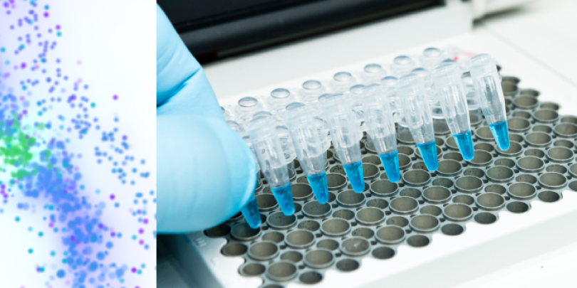 A screenshot of Codexis' website showing a lab tech adding a solution to a row of test tubes.