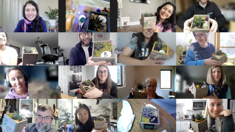  Screenshot of a virtual call with 16 screens of people showing terrariums they made.