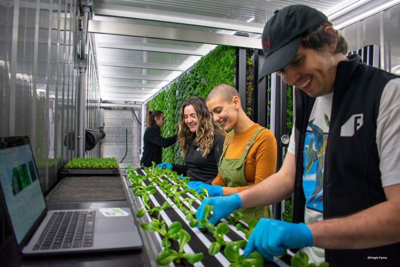 Freight Farms employees pick greens from a nursery table top inside a vertical farming shipping container.