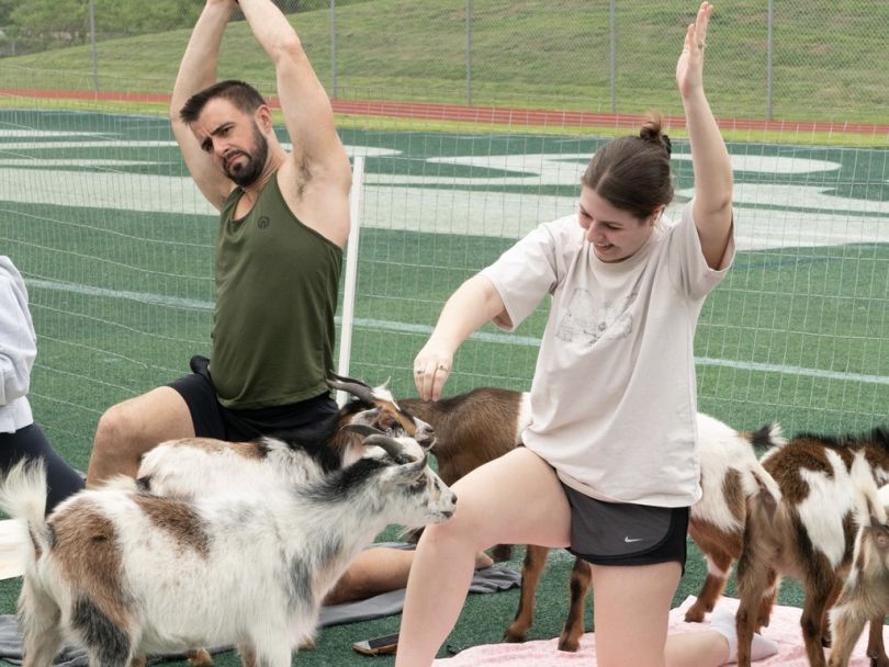 The HCSS team enjoys a session of yoga amongst goats.