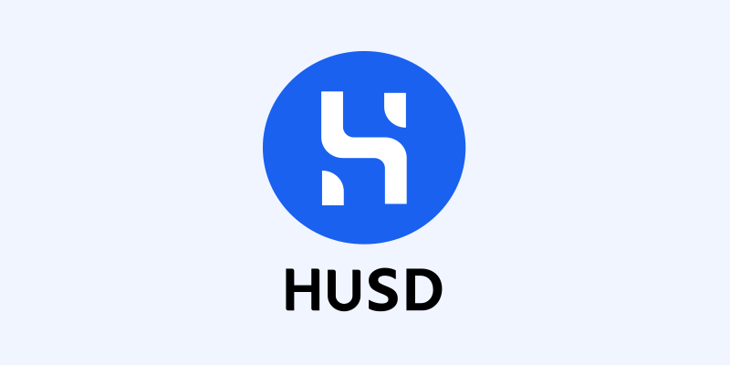 An illustration of the HSUD stablecoin logo on a coin.