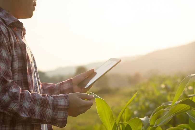 Agronomist Using a Tablet for read a report on the agriculture Field