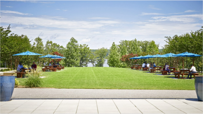 MetLife's grassy courtyard is the home to many activities throughout the year.