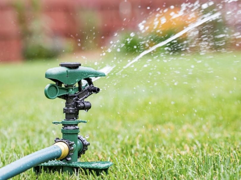 A close-up photo of a lawn sprinkler on grass.