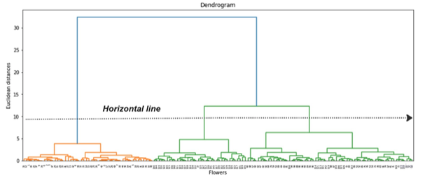 Dendogram with horizontal line