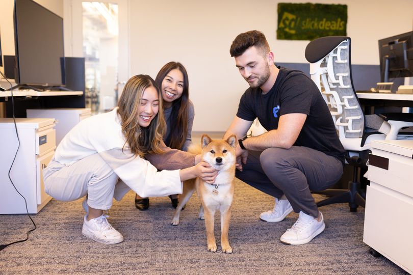 Slickdeals coworkers playing with a dog in the office