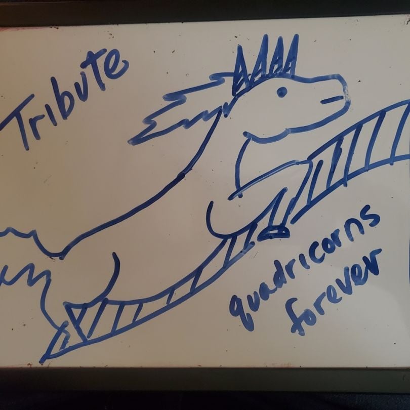 Photo of a whiteboard drawing of a unicorn, with “Tribute: quadricorns forever” written around it.