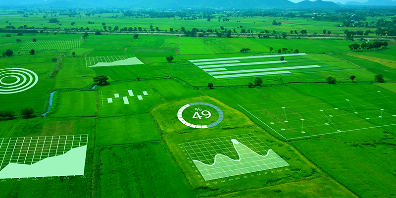 Crops covered with data metrics monitored by IoT devices.