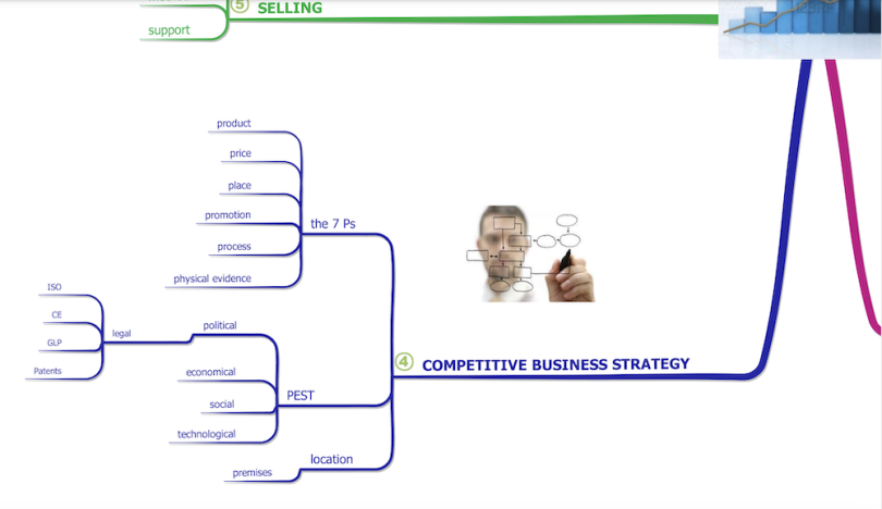 business planning mind map examples