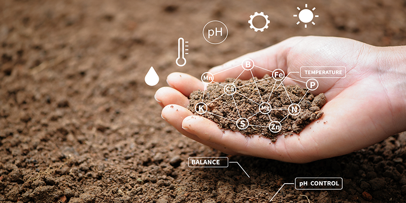 A person holding a handful of soil measured by chemical sensors.