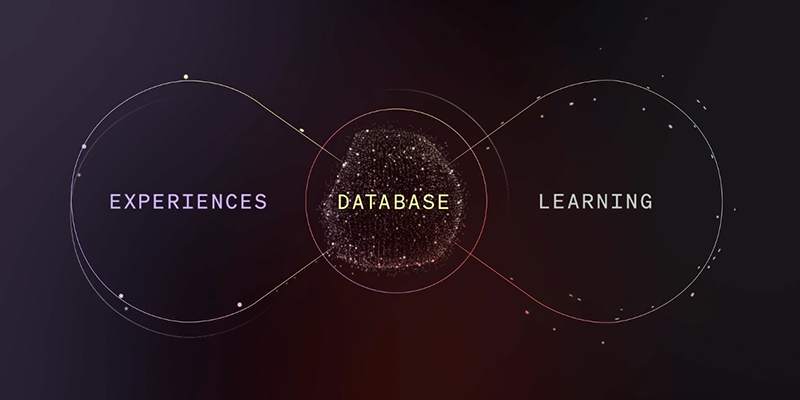 An illustration with the words "experience" and "learning" tethered to a sphere labeled database.