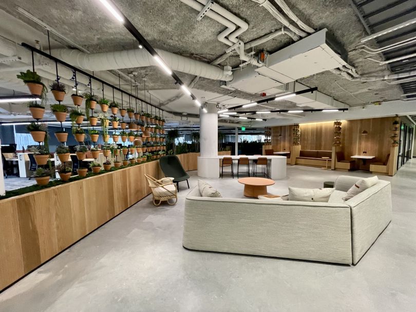 A common area in the Whole Foods office decorated with plants and large couches.