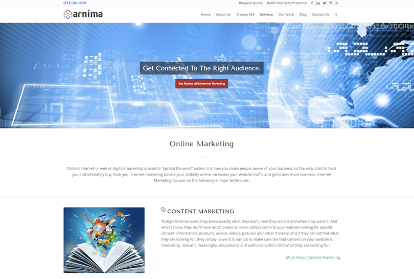 Arnima Tampa SEO company